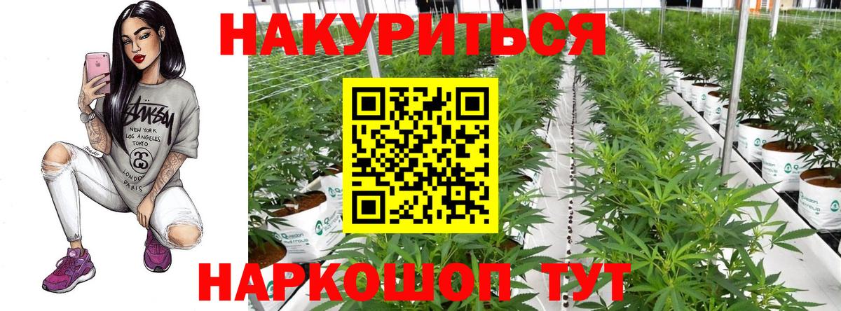 Бошки марихуана Ganja Вязники